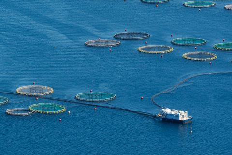 Offshore aquaculture pens